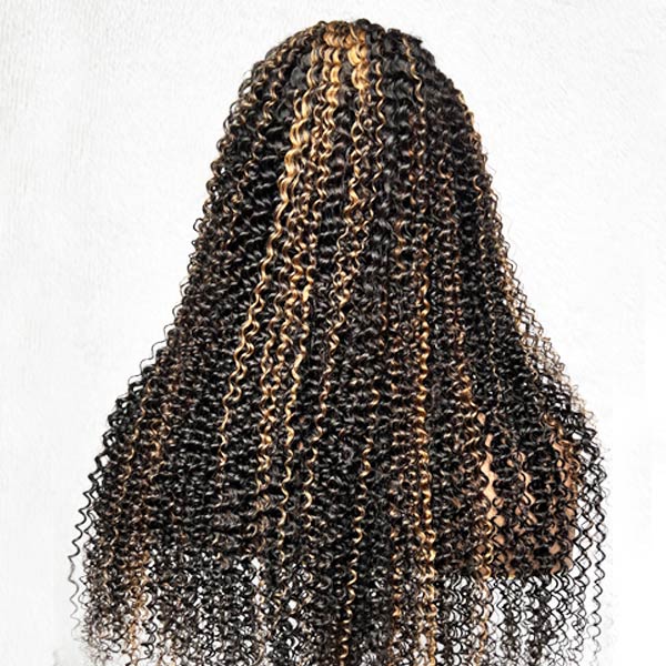 Pre Plucked Balayage Black & Blonde Highlights 13x4 HD Transparent Lace Frontal Wigs