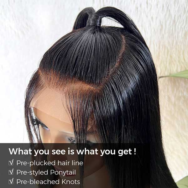 Pre-Styled Ponytail Glueless Straight 5x5 Undetectable Lace Wig What You See Is What You Get