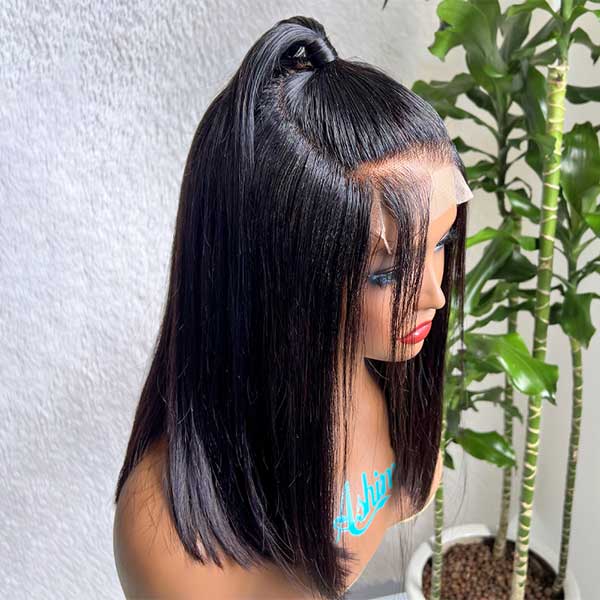 Pre-Styled Ponytail Glueless Straight 5x5 Undetectable Lace Wig What You See Is What You Get